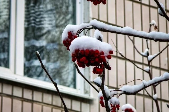    Какой праздник сегодня, 10 ноября 2024 года, и что нельзя делать?