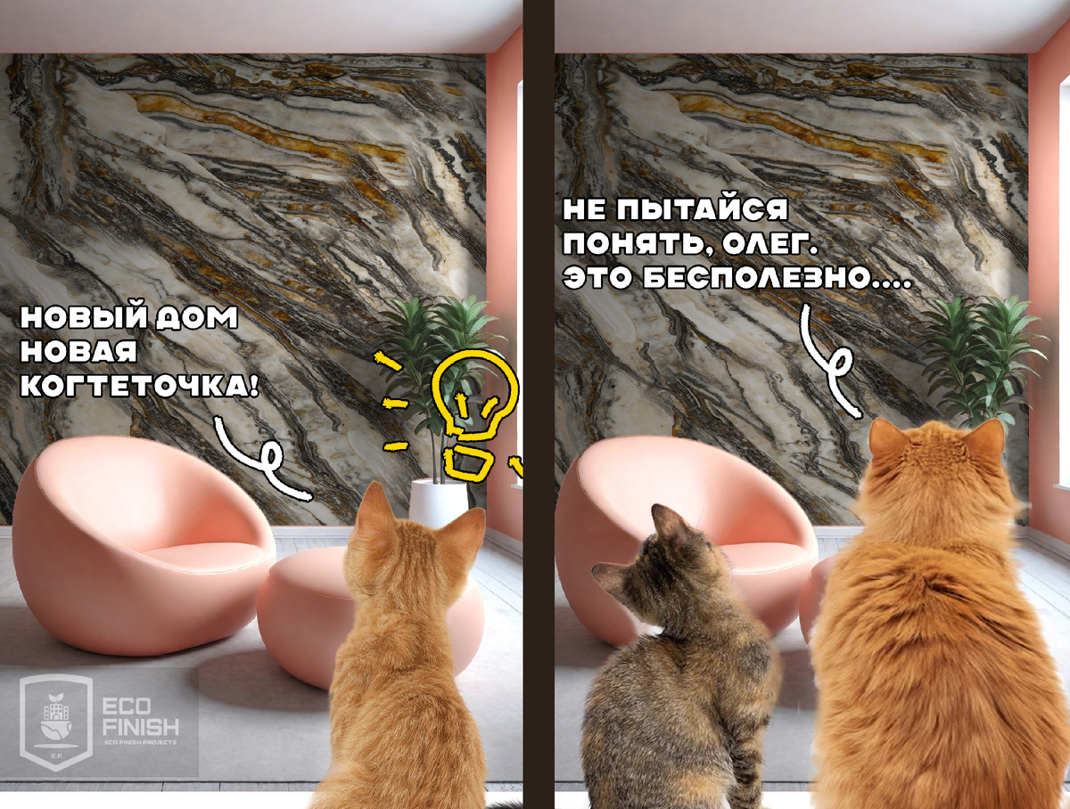 Да, снова котики. 