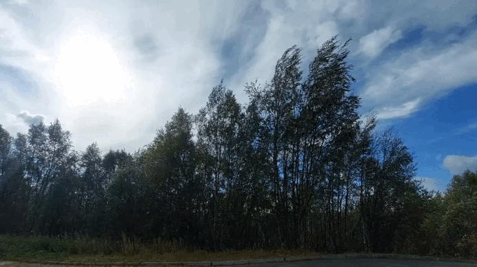 Если анимация не отображается - нажмите