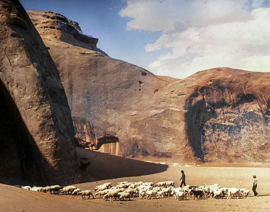 Фотограф: Лумис Дин