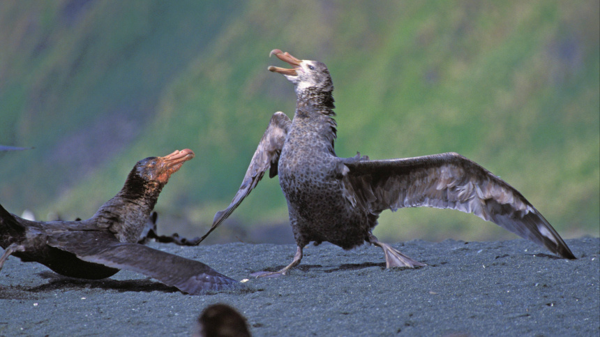    Фото: www.globallookpress.com/K. Wothe