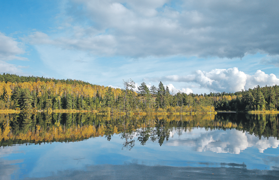 Про Глубельку можно  смело сказать - колдовской магнит.