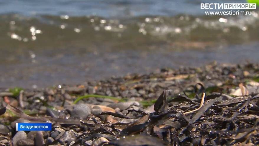    Источник фото: