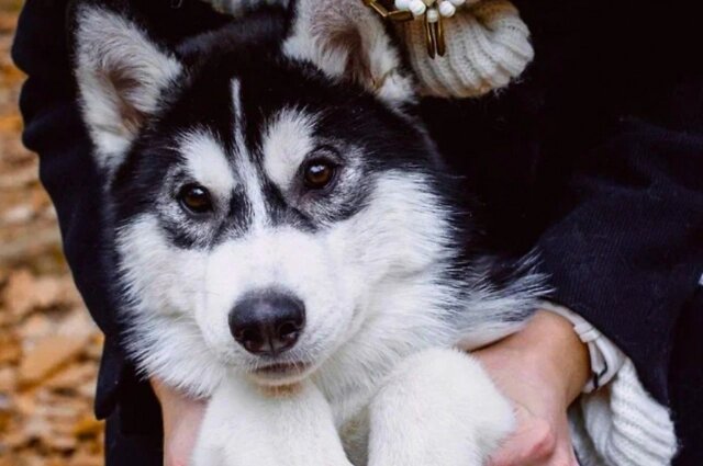    Отдых в Хабаровске и крае Фото: пресс-служба правительства Хабаровского края