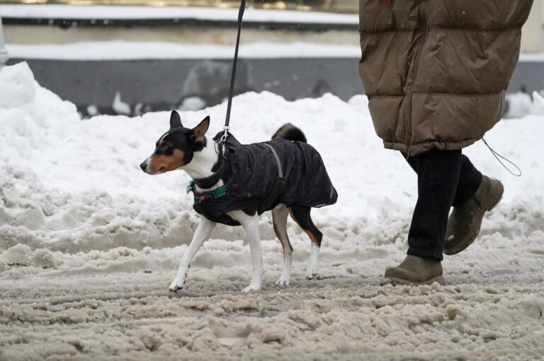   Фото: Агентство «Москва» Анфиса Слепцова