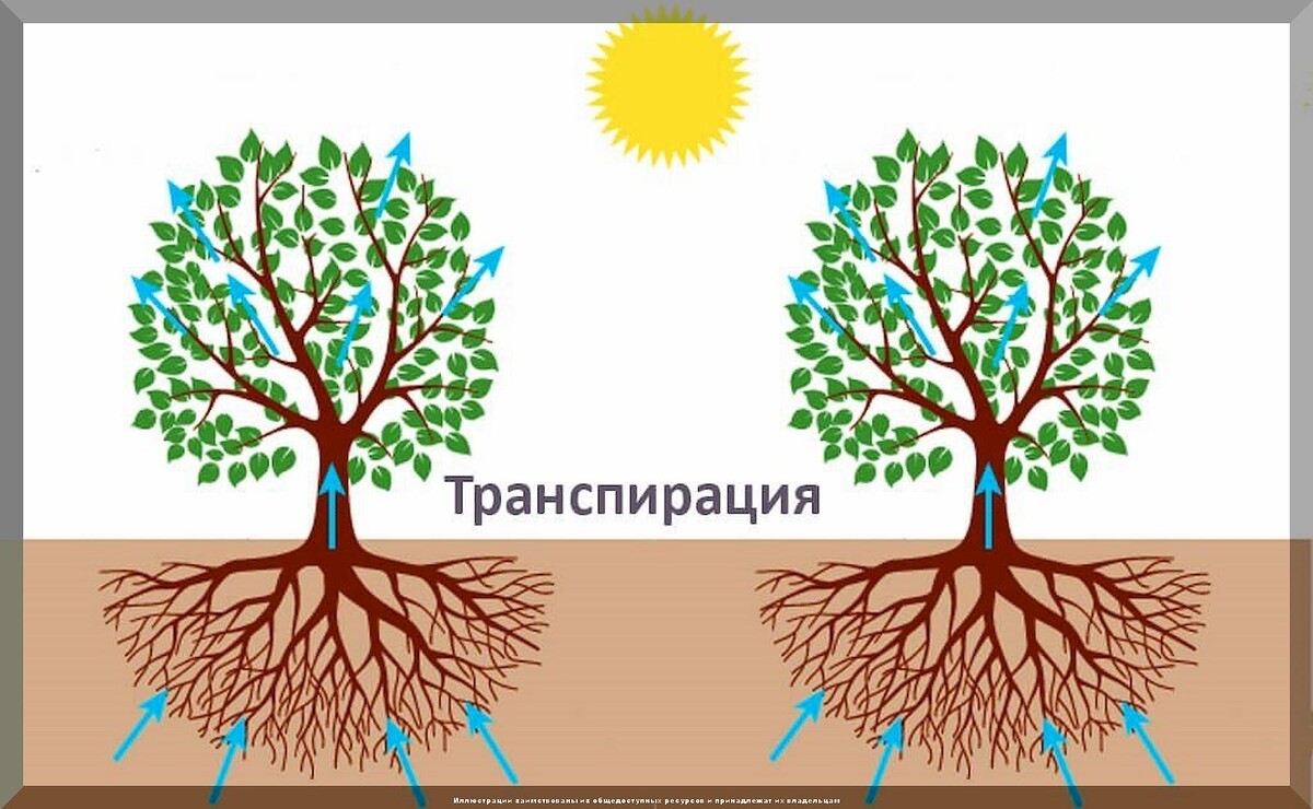 https://vk.com/photo-159774511_457267770