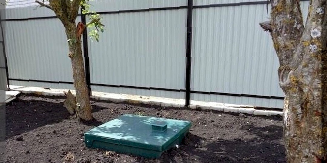 Как годами не откачивать слив: деревья водохлебы, которые наилучшим образом подходят для посадки вблизи выгребной ямы