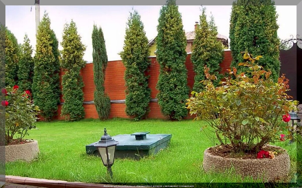 https://vk.com/photo-159774511_457267777