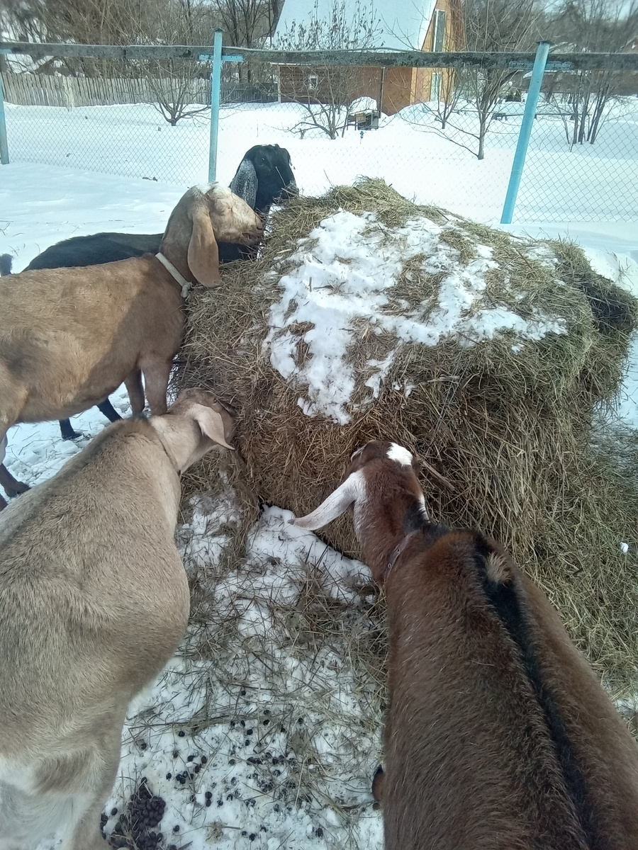 Фото автора.