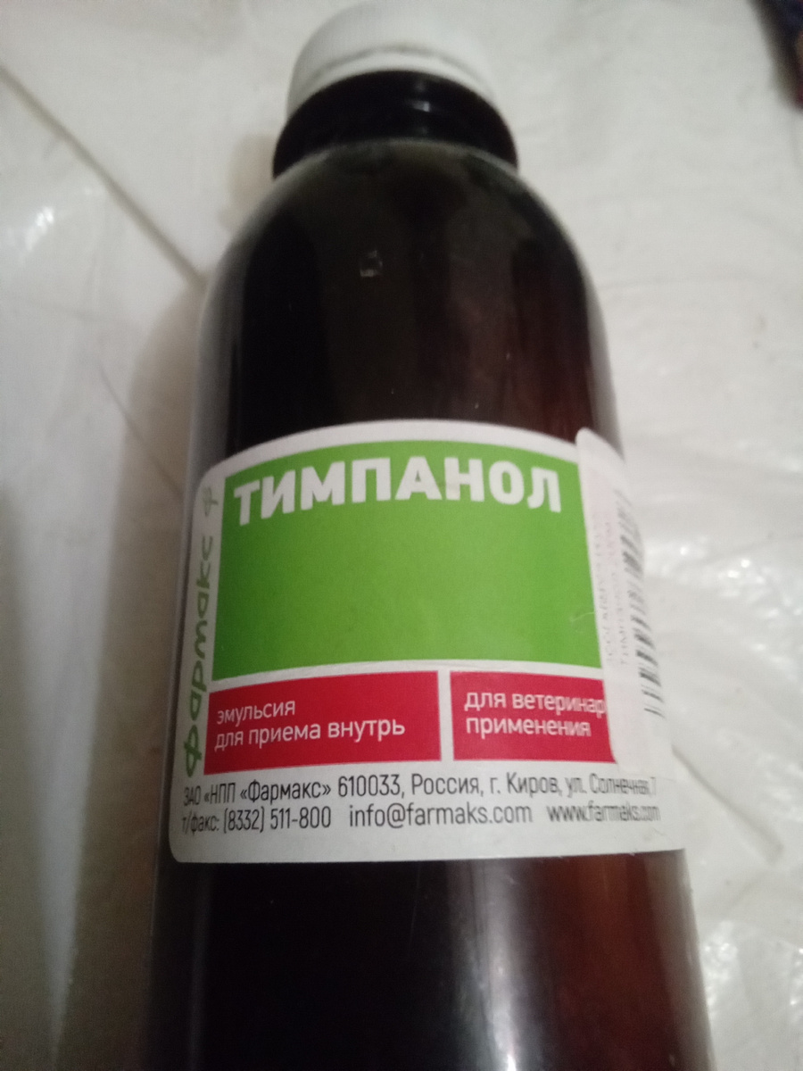 Фото автора.