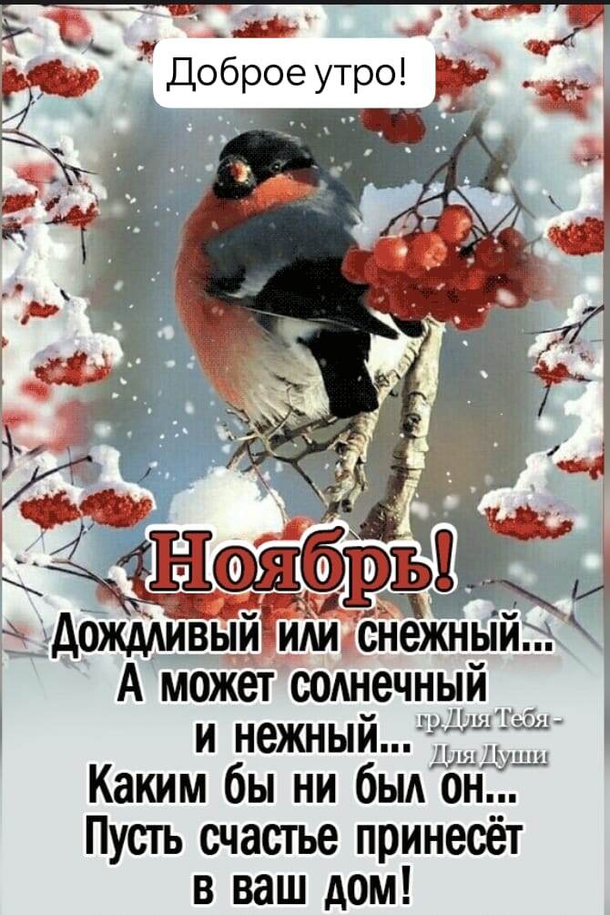 Доброго вам утра дорогие мои подписчики и гости моего канала.