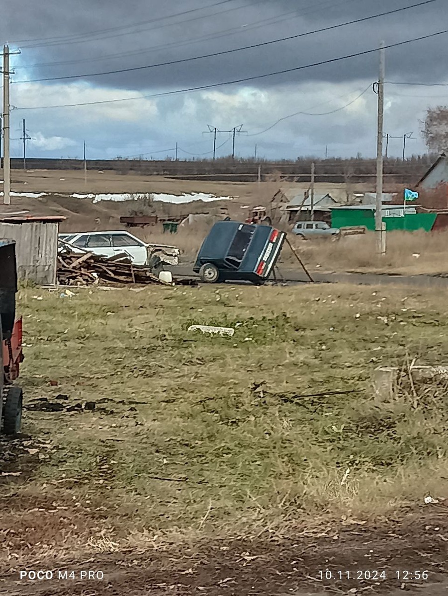 позавчерашний ландшафт: никакого снега не осталось в принципе, вон только в поле чуть-чуть