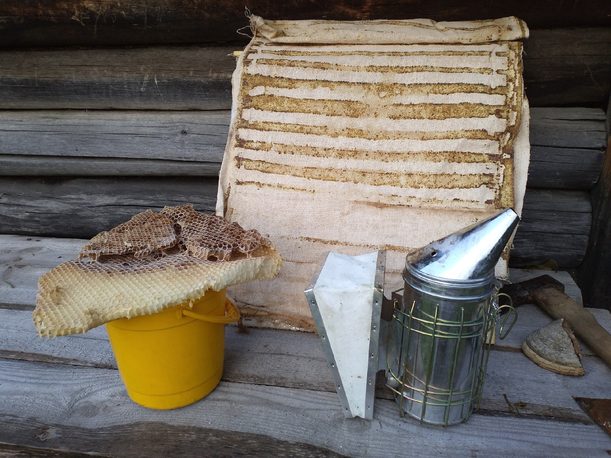 Натюрморт с пчеловодческими предметами