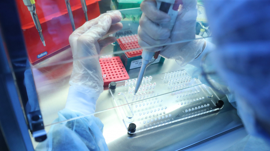    Фото: ИЗВЕСТИЯ/ERS/Андрей Эрштрем;5-tv.ru