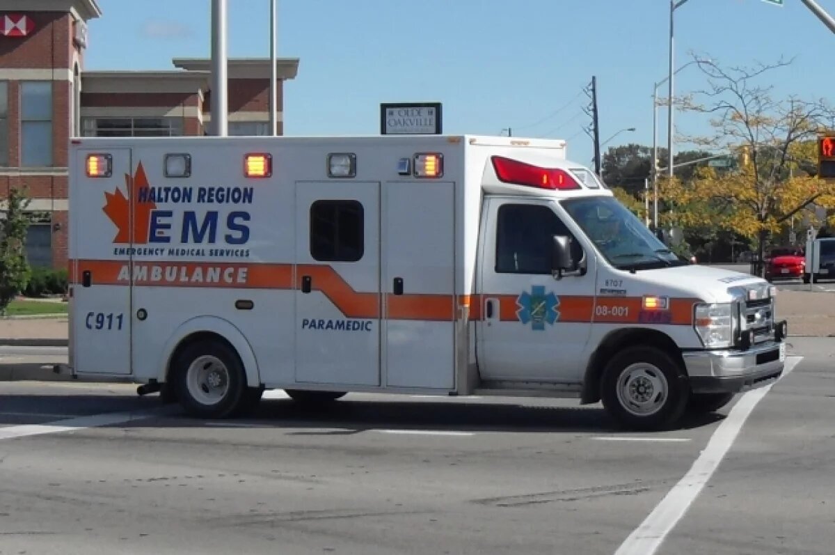    В Канаде сообщили о первом случае заражения человека птичьим гриппом H5