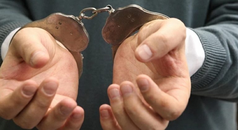    Фото: МВД Москвы Анфиса Слепцова