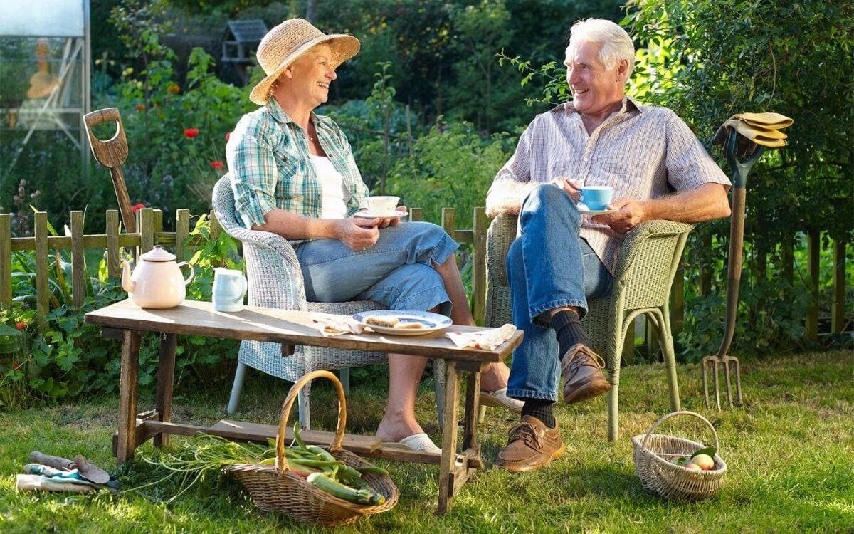 Картинка из интернета для иллюстрации