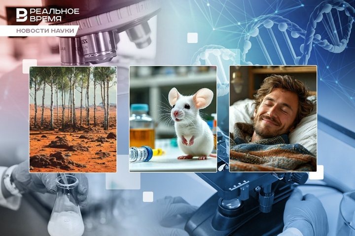 Фото: коллаж "Реального времени"