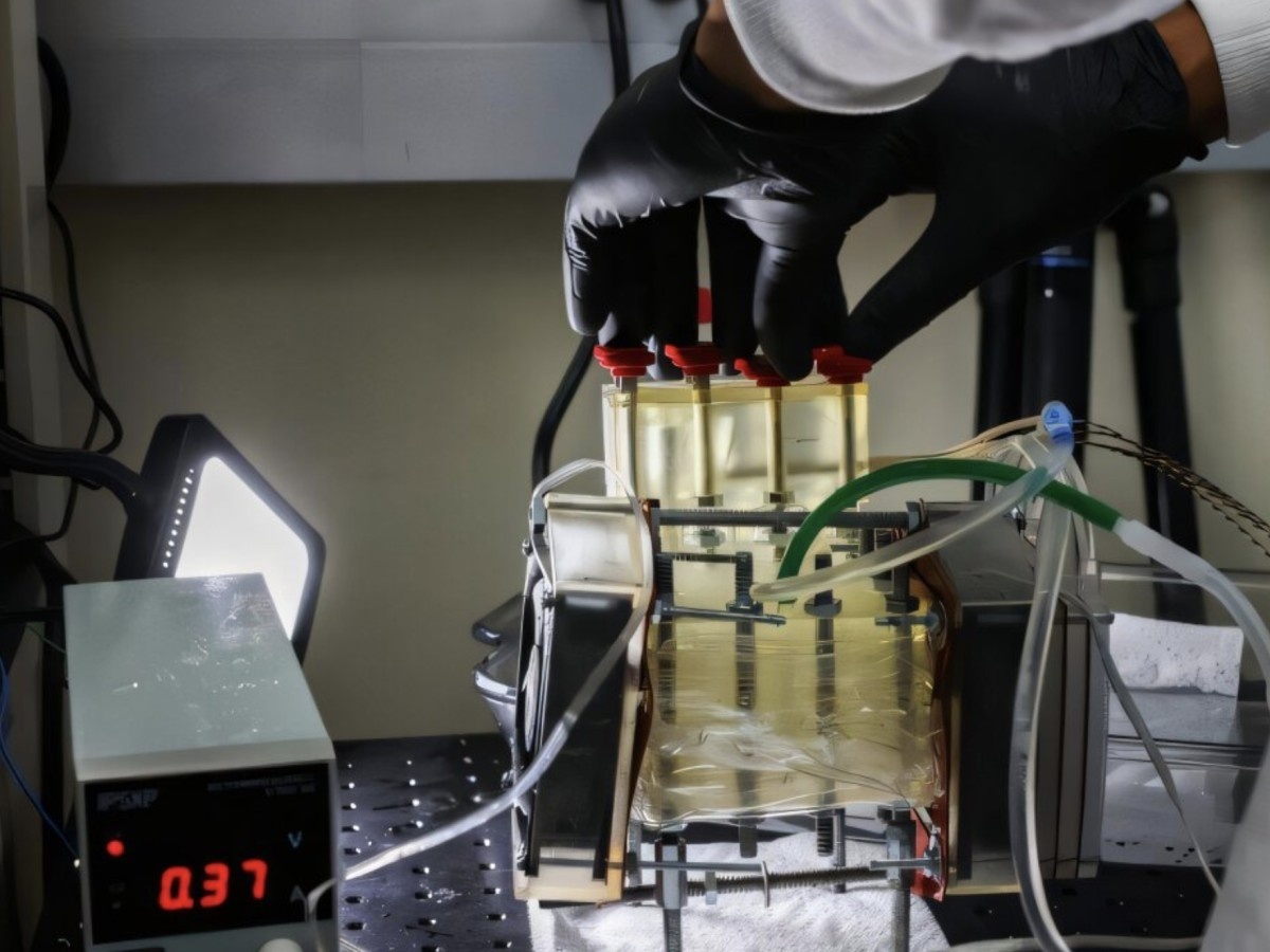    Лягушки подсказали идею прибора для сбора воды из сухого воздуха