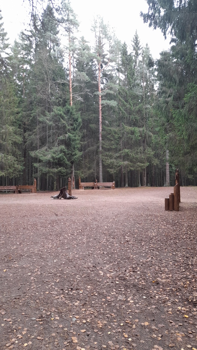 Поляна сказок