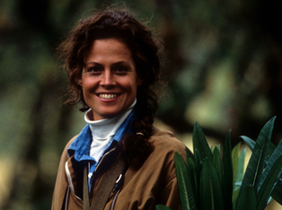 Фото взято из интернете