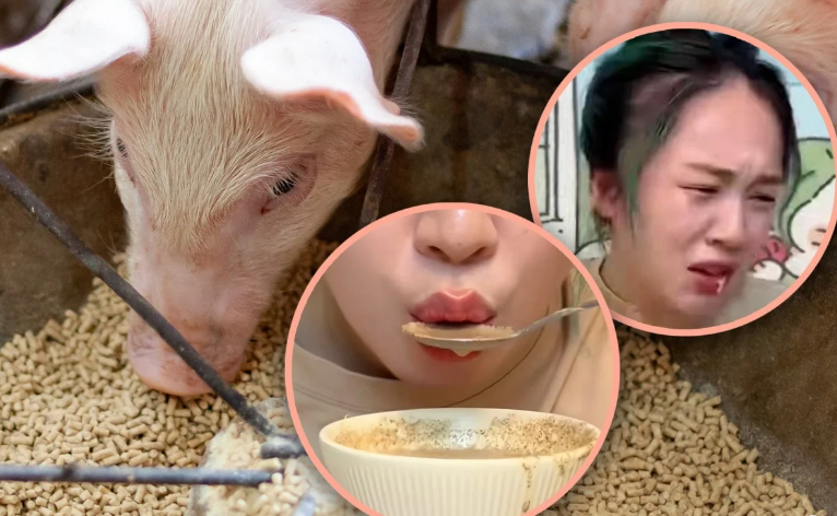 Выглядит довольно неплохо на самом деле