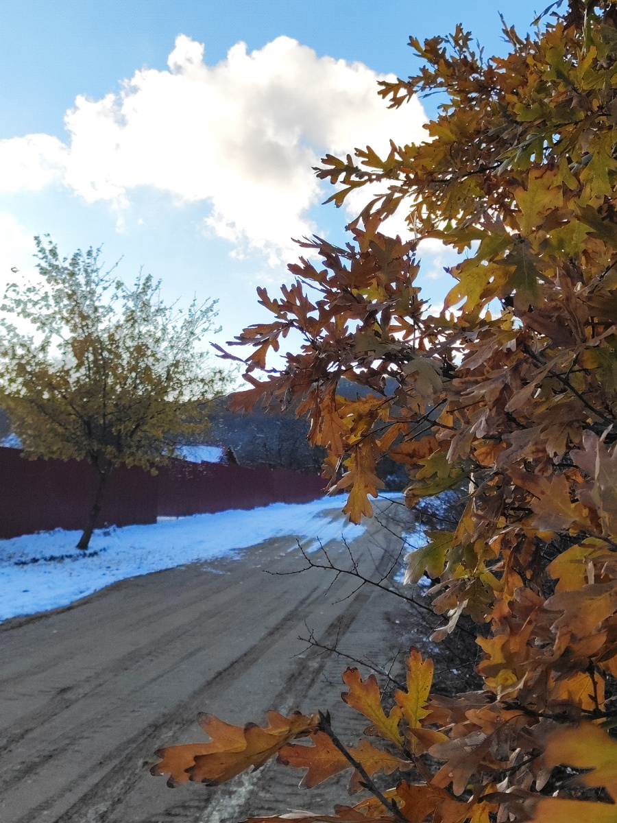 "Зима, прошу тебя, умерь порывы". Привольное. Первый снег. 05.11.2024г. 