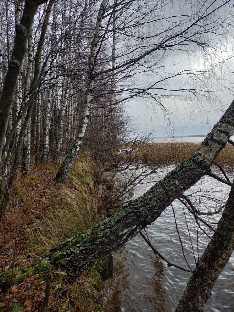    Департамент природресурсов Костромской области