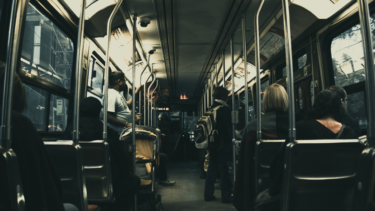 Изображение взято из открытых источников интернета. 