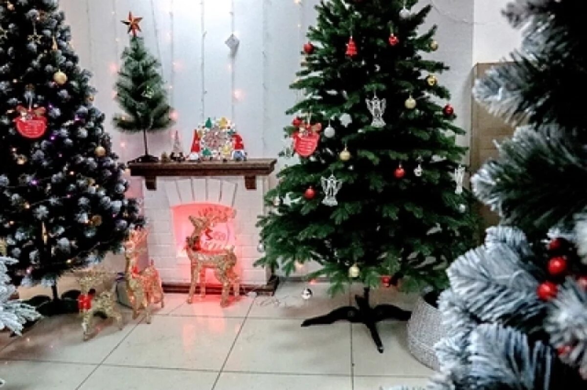    В Оренбург начали завозить ёлки на продажу