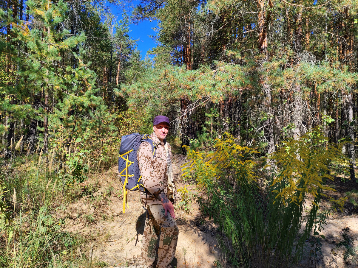 В лесном покое