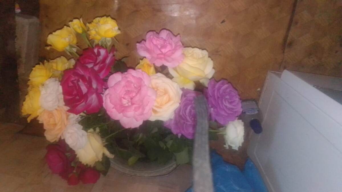 букет на 1-е сентября