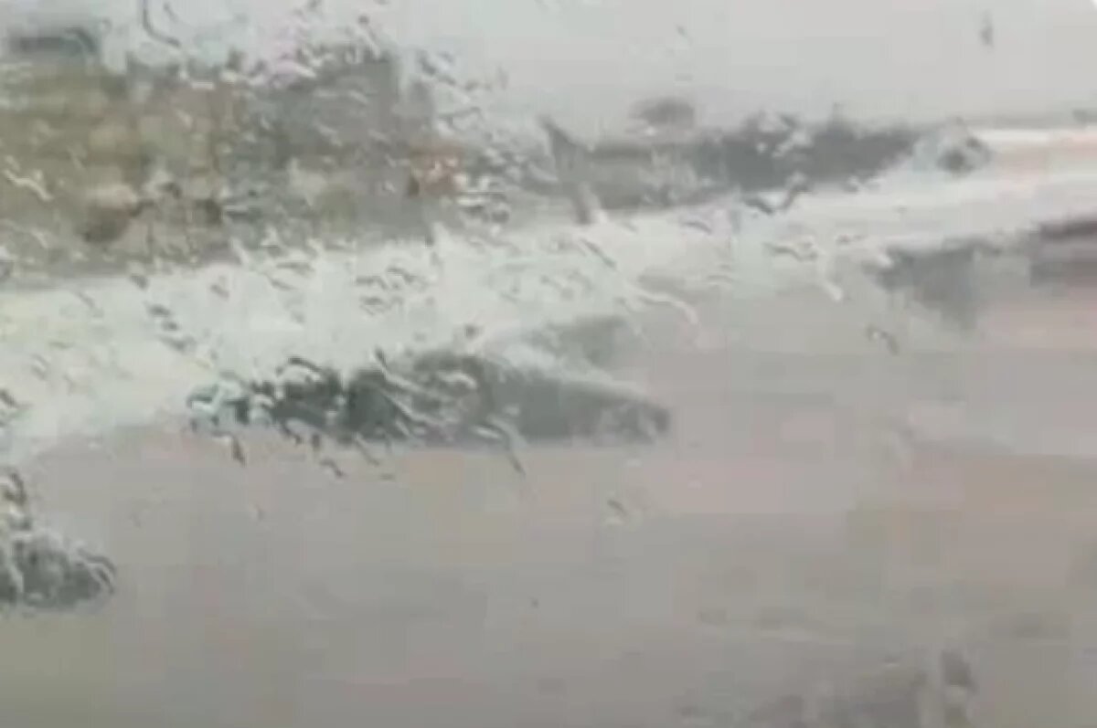    Кадр из видео, якобы снятого участником «банды педофилов» в самолёте