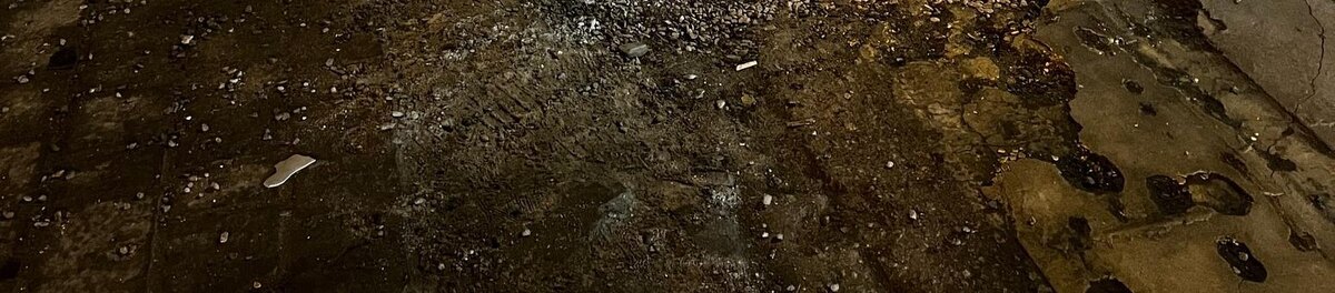    Фото: Анна Григор