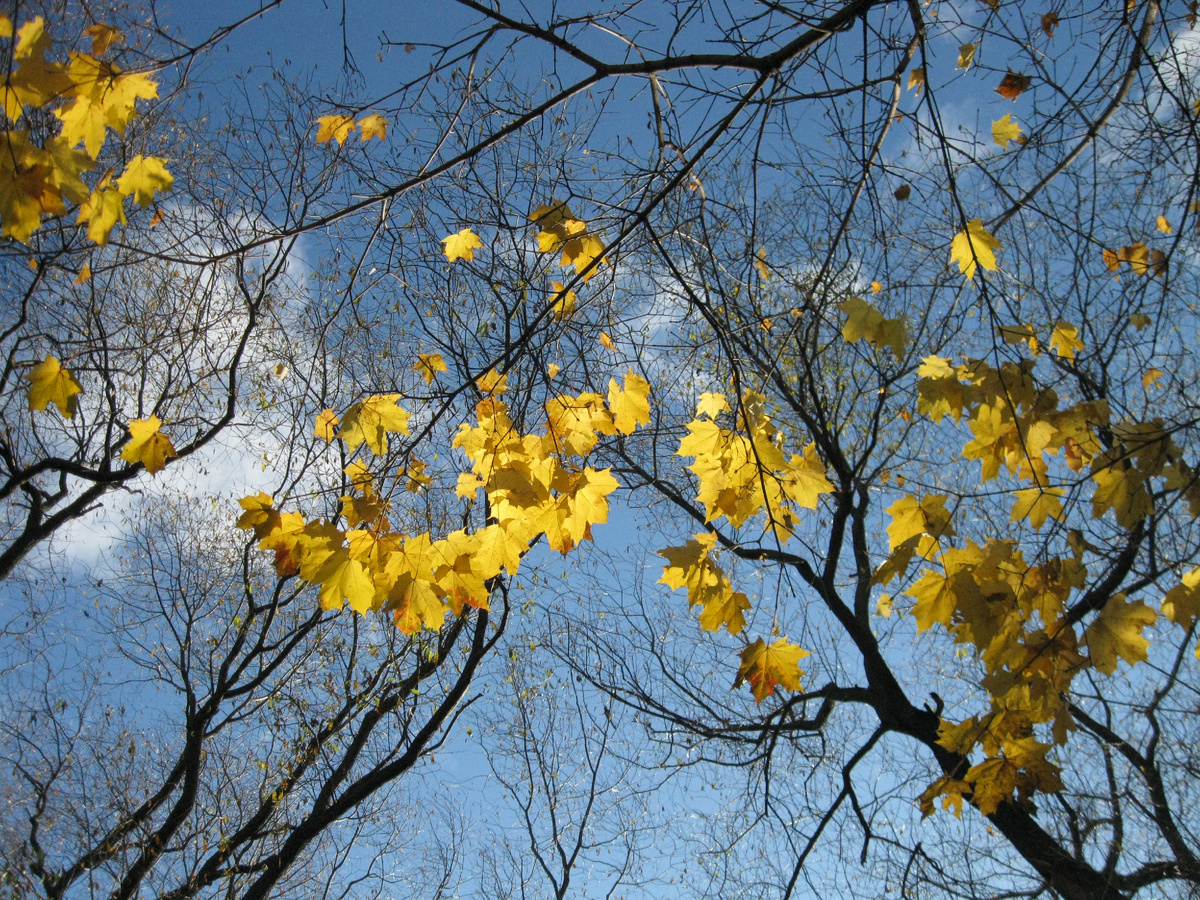 Фото автора.