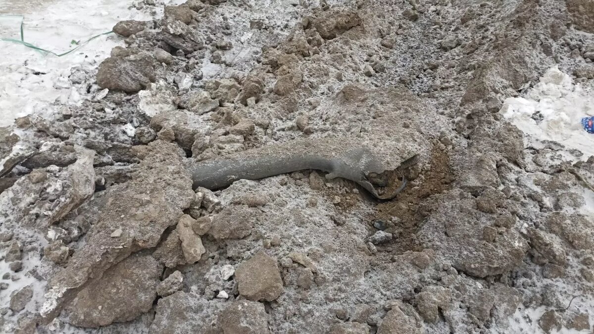     Автор: Марина Блус