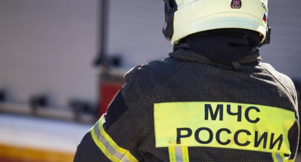    РИА «Новости»