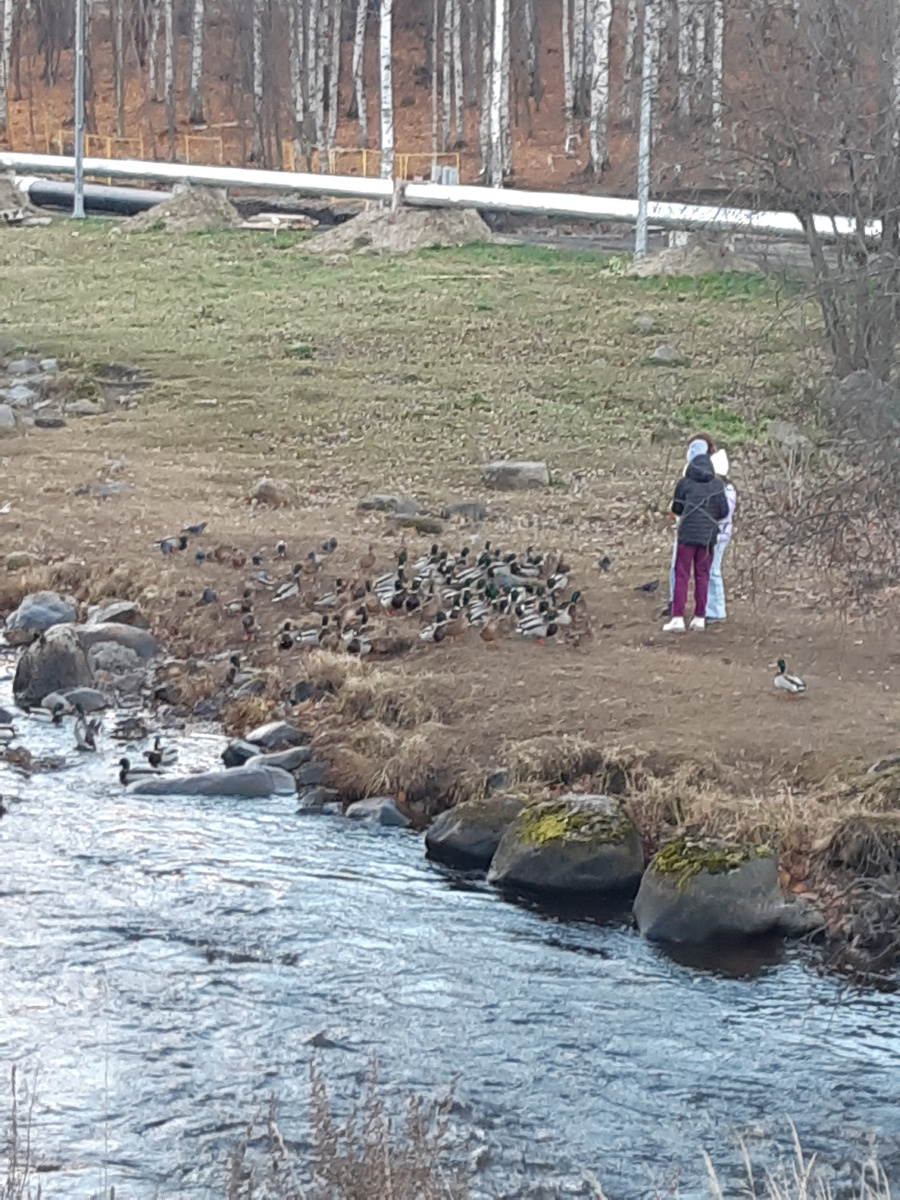 Топаем дальше