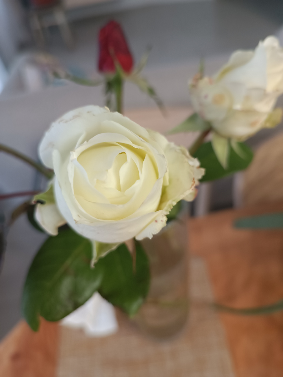 Белые и красные. Красивые даже в таком виде