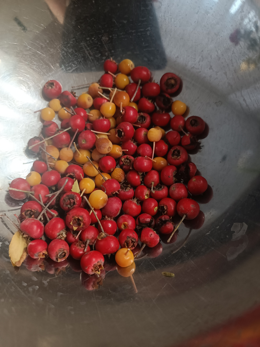 Красное - боярышник, жёлтое - яблочки. Смотри не перепутай, Кутузов 🤣🤣🤣