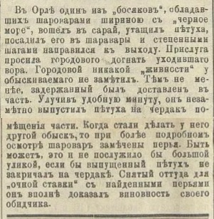 Пермские губернские ведомости № 62 от 1899 года.