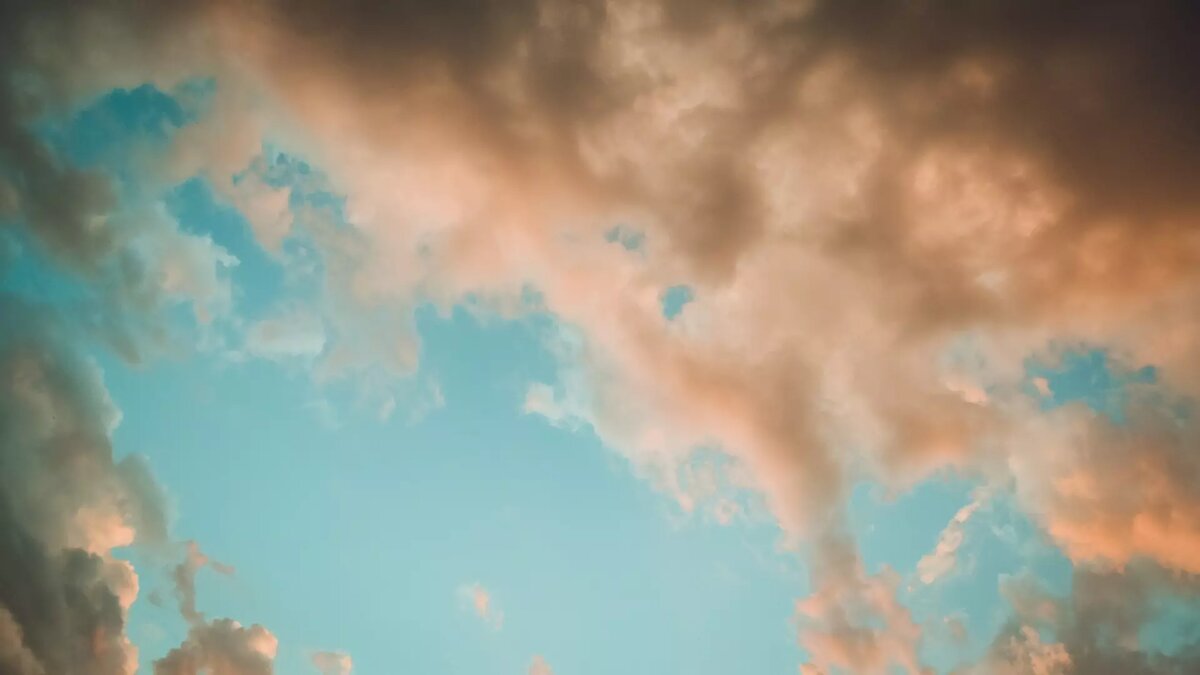     Источник: 1MI