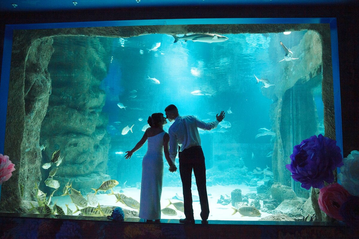    Изображение Mos.ru 