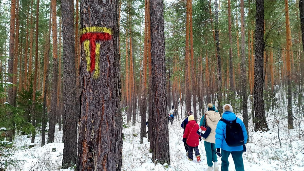 Тропа из Тыелги на Ицыл, ноябрь 2024