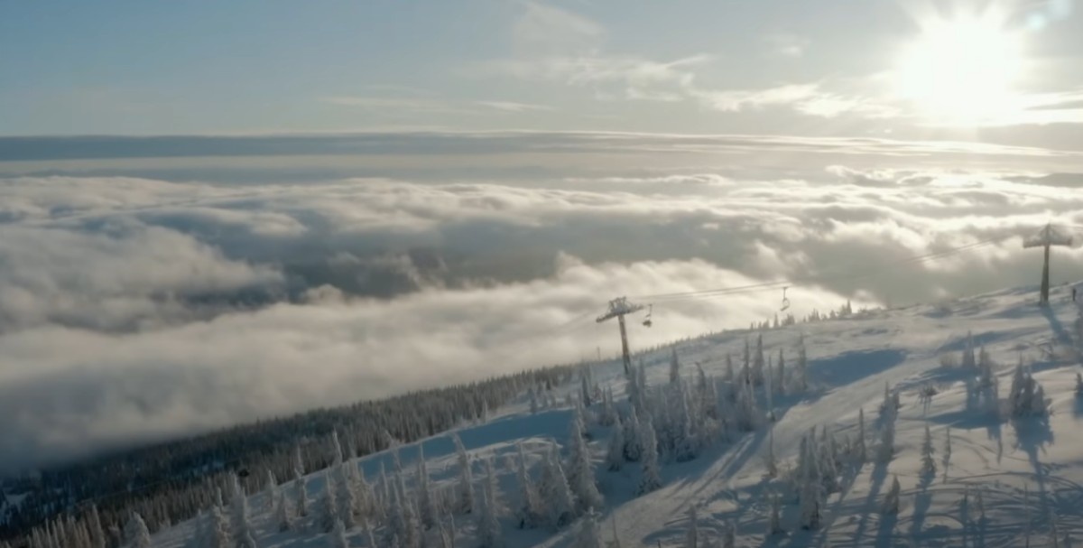 Природа на склонах в Шерегеше.