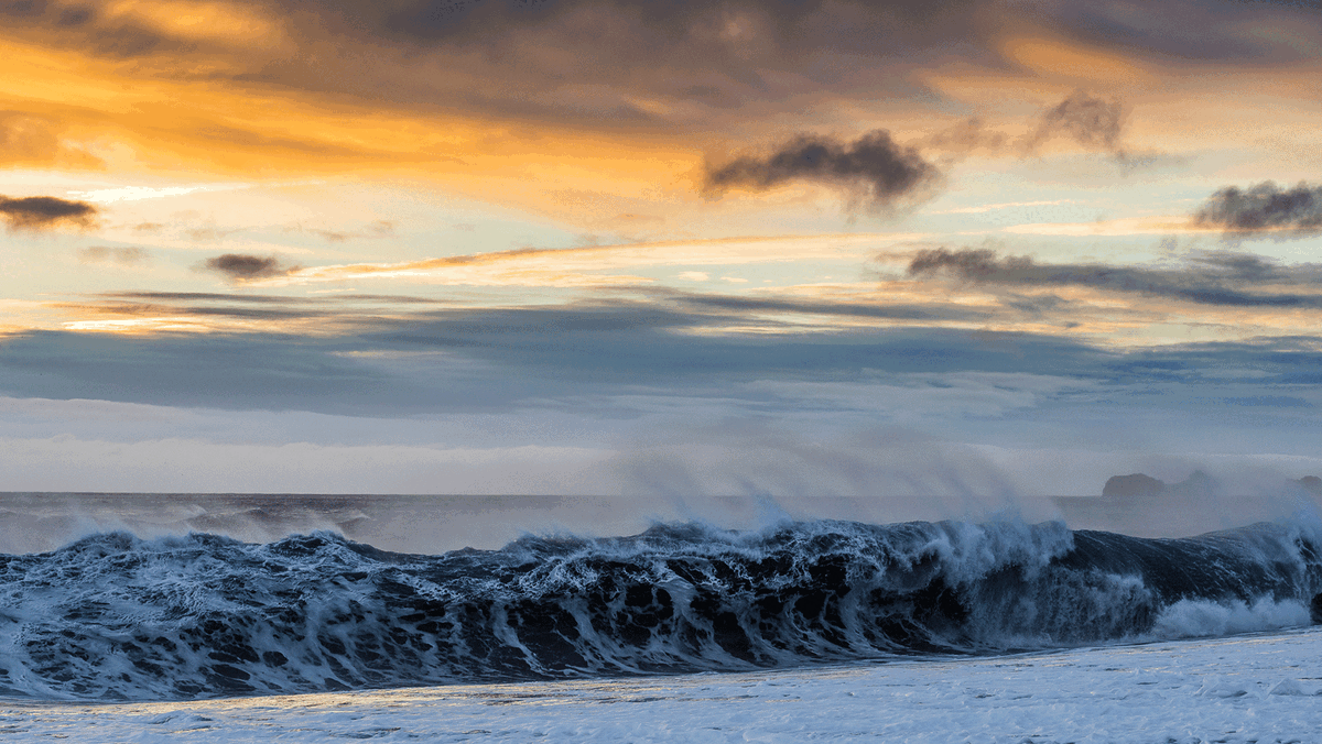 Фото: Яндекс картинки