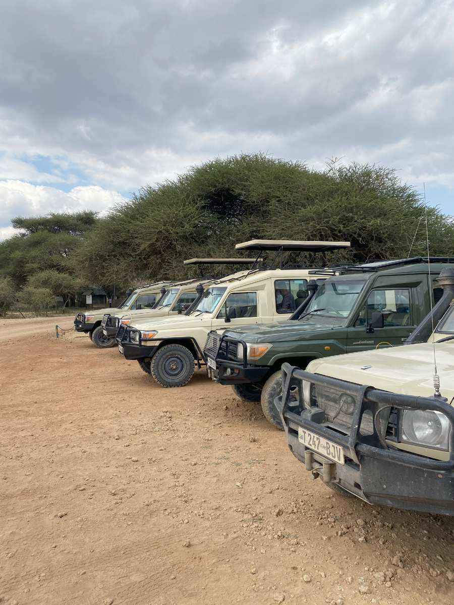 Toyota Land Cruiser в Танзании на Сафари в Тарангири.