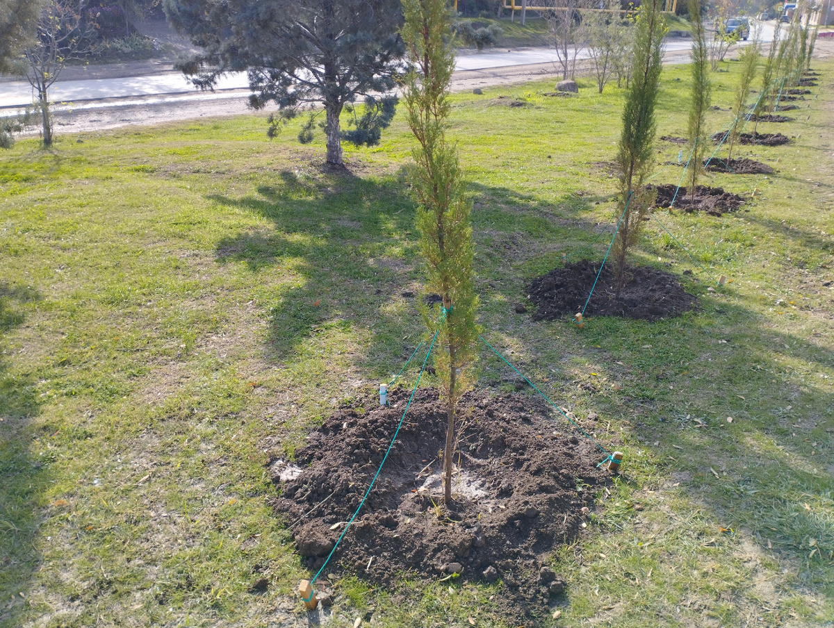 Сегодня. Фото автора канала