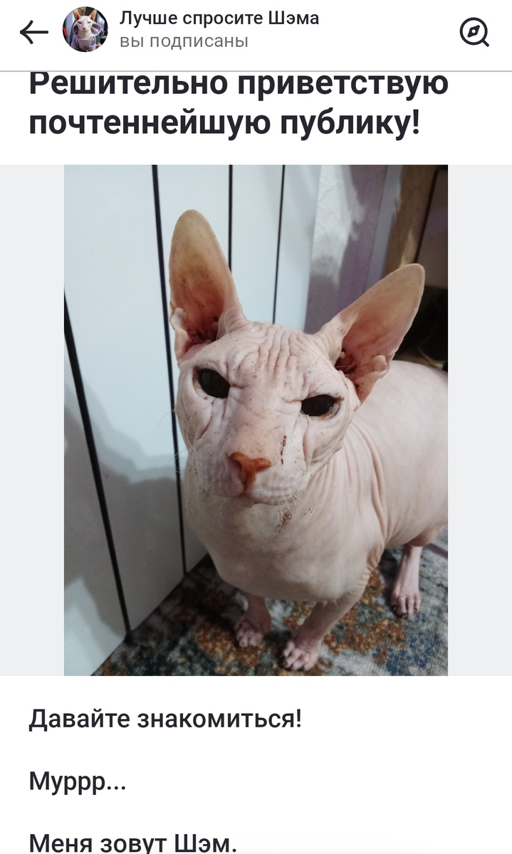 Скрин. По всем вопросам  обращайтесь к автору блога Стиль полемики. 