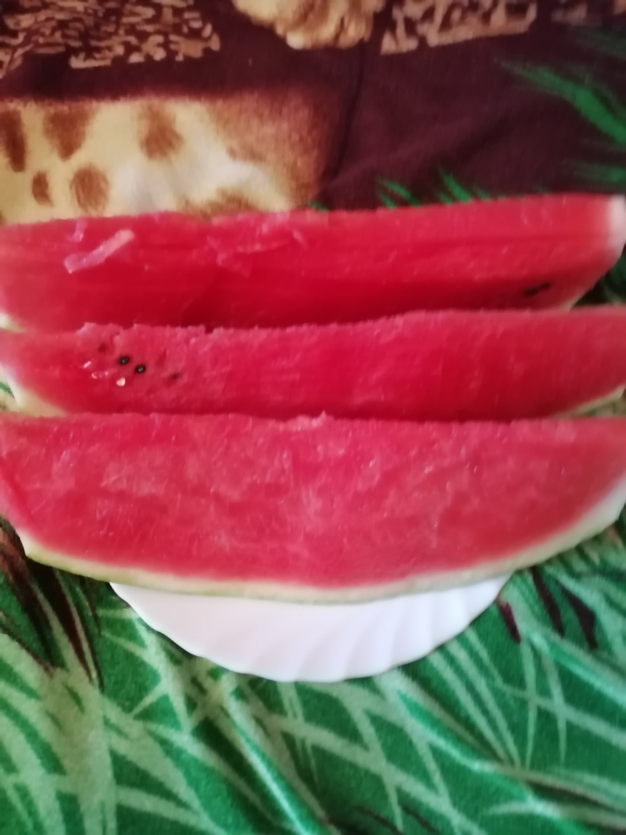 Фото 1. Арбузный релакс (для обложки)
